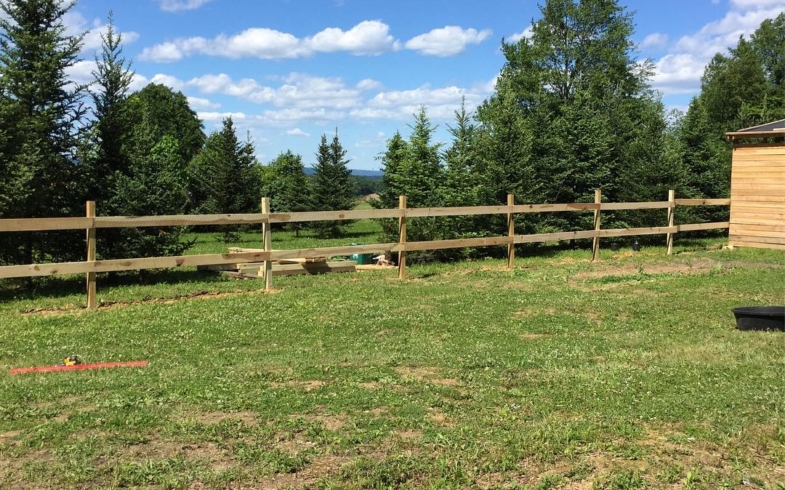 Fence almost complete a new pasture