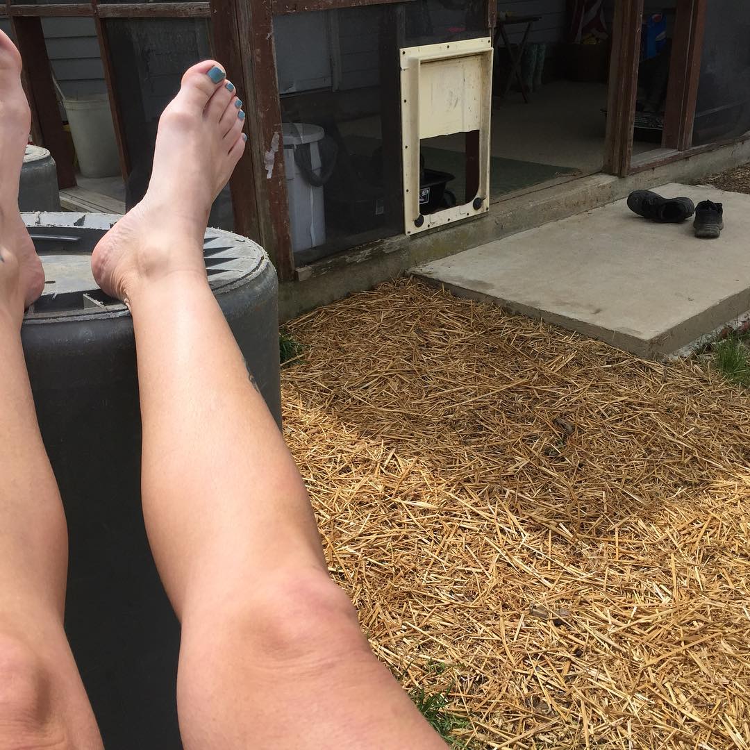 Chores are done. Kicking back with my shoes off watching the grass grow