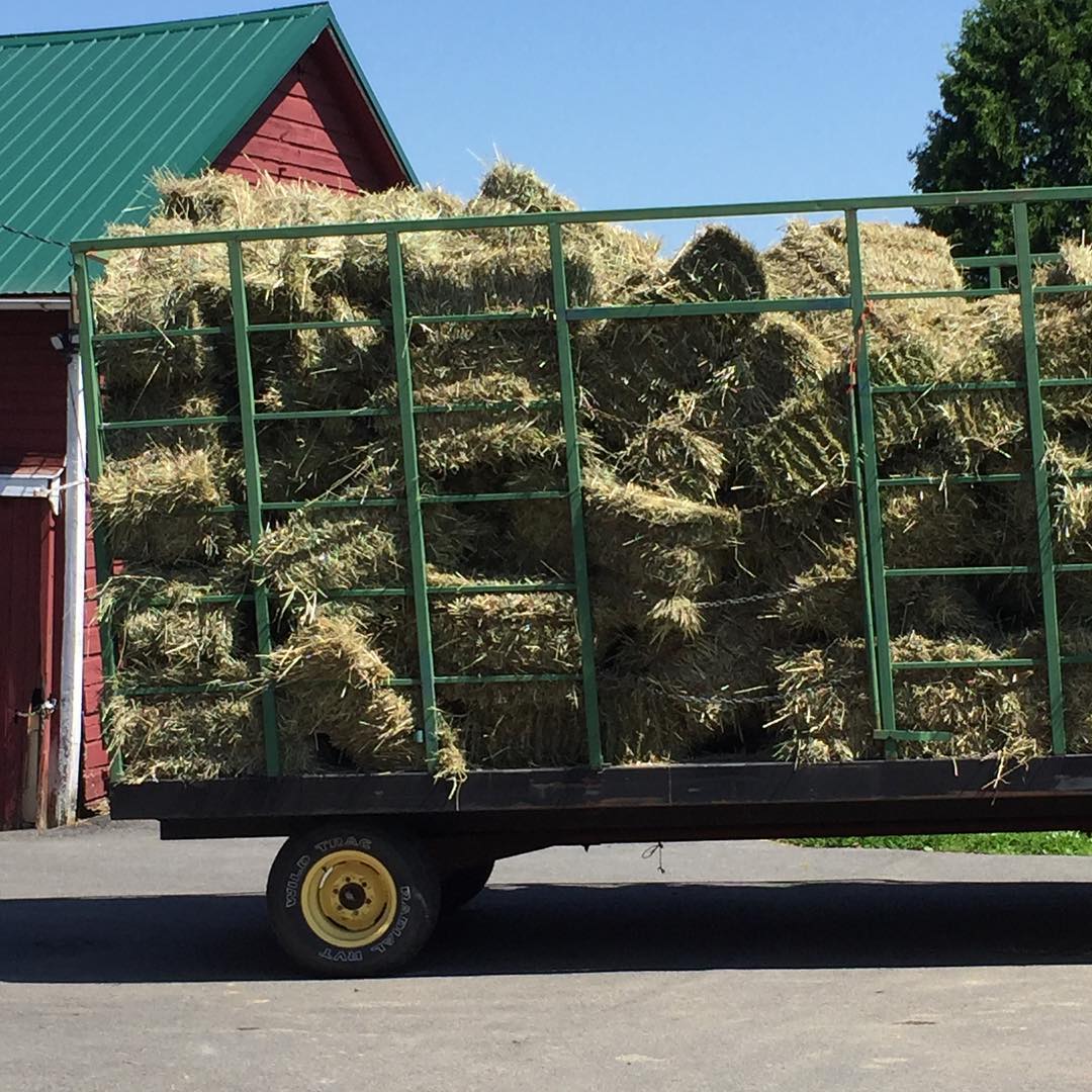 Our first wagon of hay ???