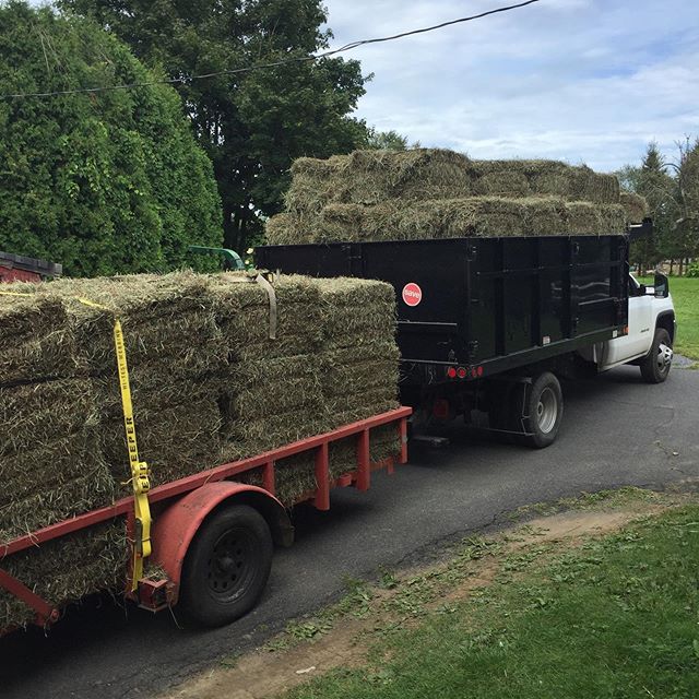 Hay time again. Gotta get it while you can ?